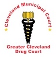 Drug Court Logo Top